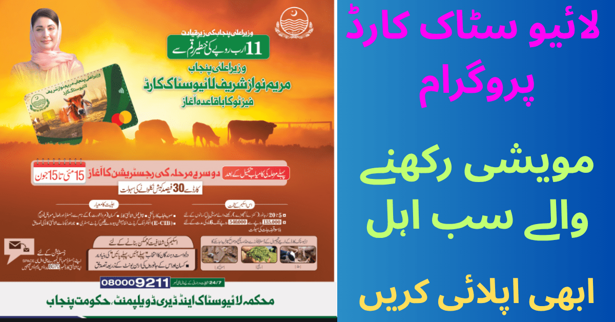 Livestock Card