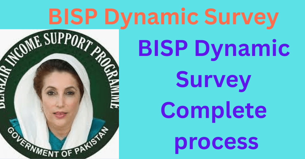 Dynamic survey